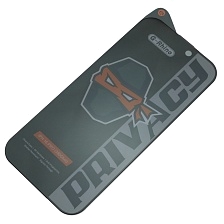 Защитное стекло Антишпион G-Rhino (380 Glue) для APPLE iPhone 16 Pro, iPhone 17, цвет окантовки черный