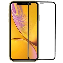 Защитное стекло HOCO G10 Anti-static для APPLE iPhone XS Max, iPhone 11 Pro Max, цвет окантовки черный