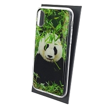 Чехол накладка для APPLE iPhone X, iPhone XS, силикон, глянцевый, рисунок Панда бамбук