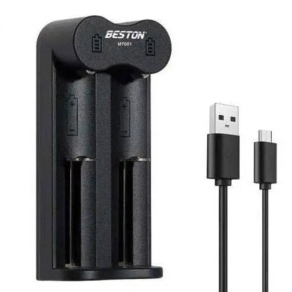 Зарядное устройство BESTON M7001, для аккумуляторов, с индикацией заряда, цвет черный