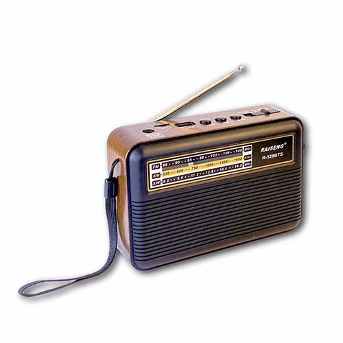 Портативный радиоприемник Raiseng R-528BTS, цвет черный