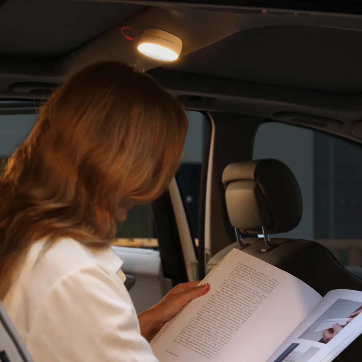Автомобильный светильник BASEUS In-car Solar READING LAMP, цвет белый